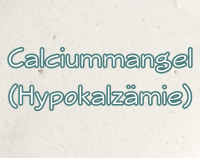 Artikelvorschau  - Calciummangel - Ursachen, Symptome, Behandlung