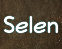 Artikelvorschau Nährstoffe - Selen - Wirkungen und Funktionen