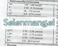 Artikelvorschau  - Selenmangel - Symptome, Ursachen, Therapie
