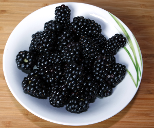 Brombeeren