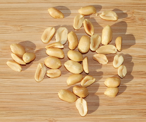 Erdnüsse, geröstet