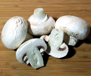 Weiße Champignons